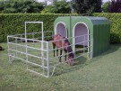 Glassfiber hus - hest thumbnail