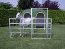 Glassfiber hus - hest thumbnail