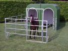 Glassfiber hus - hest thumbnail