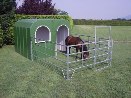 Hest 