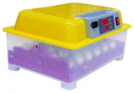RUGEMASKIN AUTO - 24 EGG
